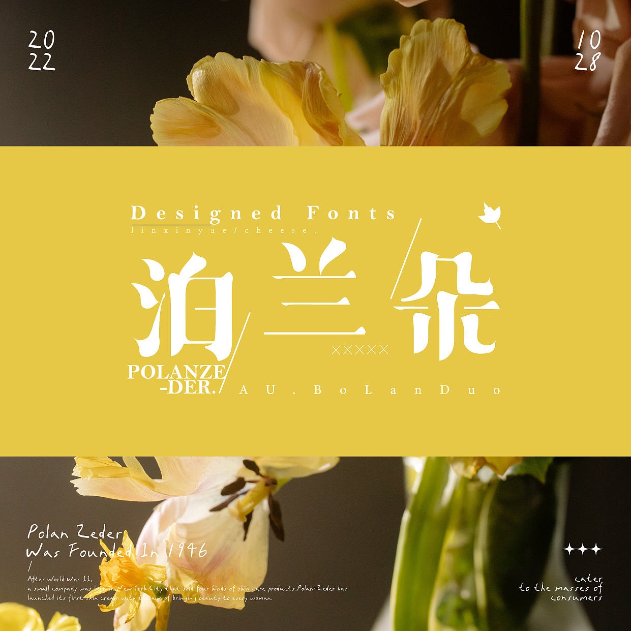 字体|22年11月|合集- students' work presentation