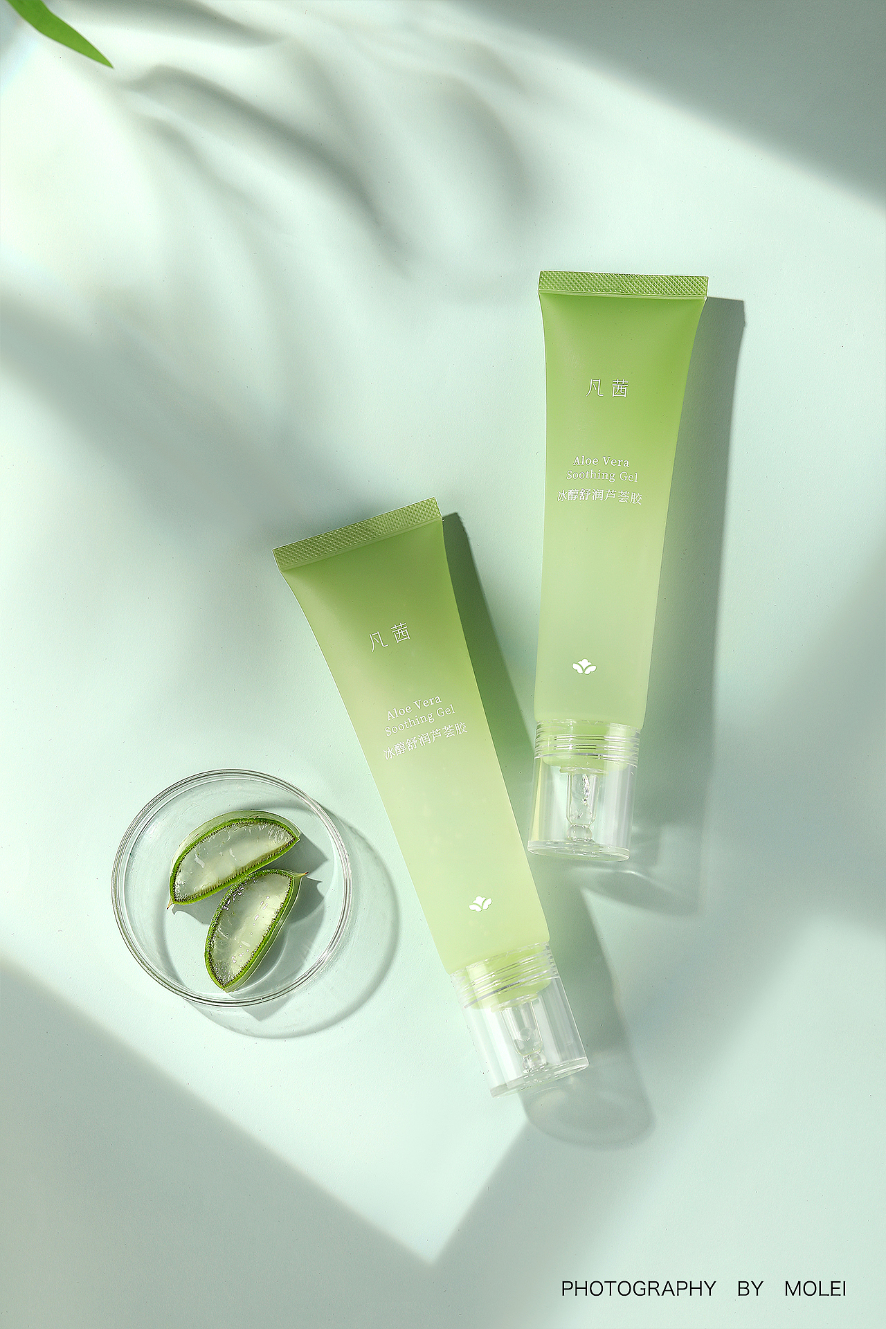 【凡茜】芦荟胶拍摄|默雷