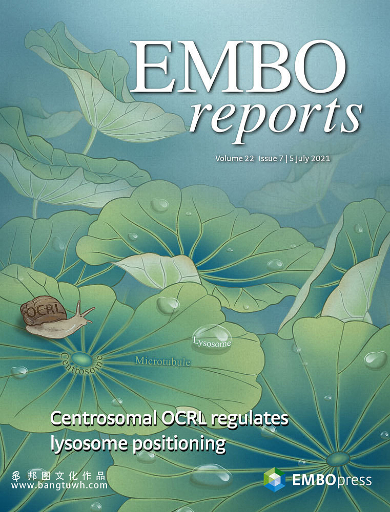 邦图科研绘图作品展示