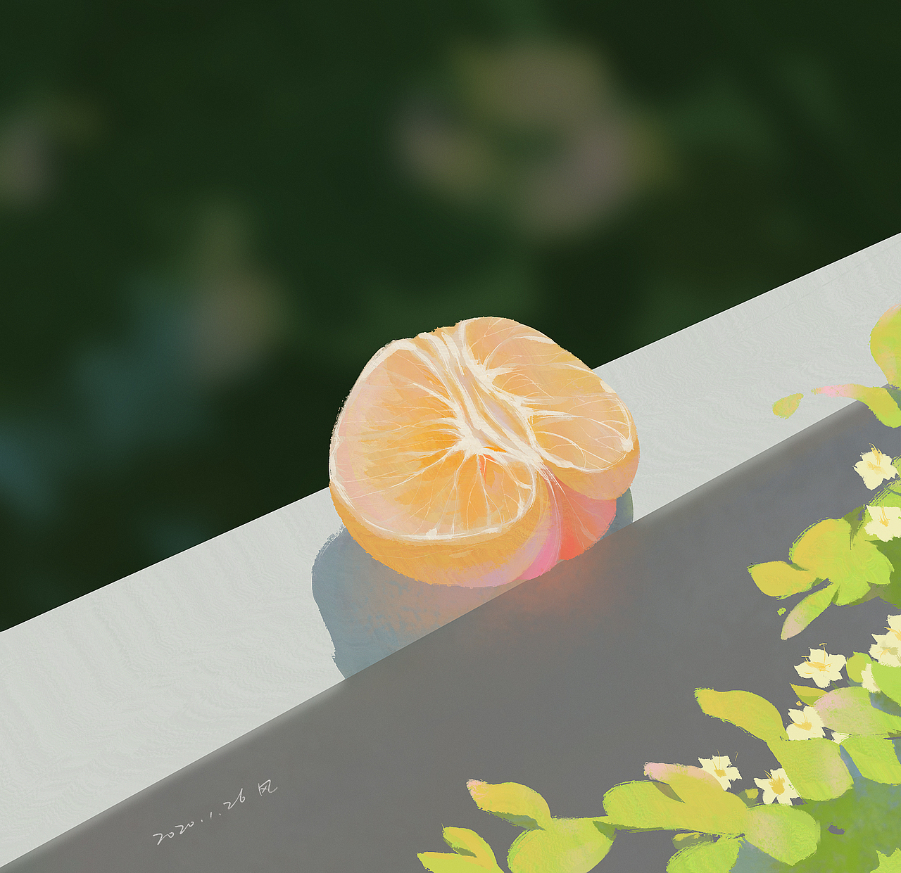 色彩练习 2022.1.1~2022.3.1