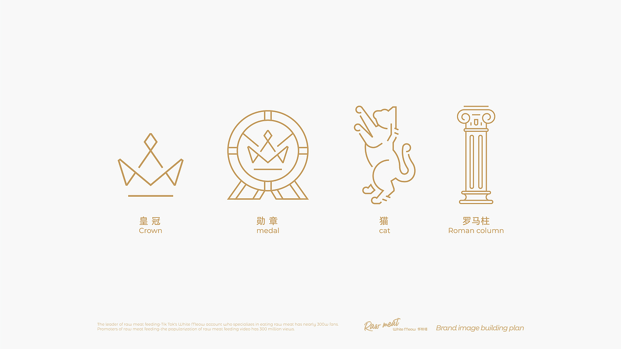 生骨肉喂养专家——怀特喵·宠物品牌升级（图ZMzEwMDYyNTc2） - 品牌 - 站酷设计师核桃设计原创素材 - 站酷ZCOOL