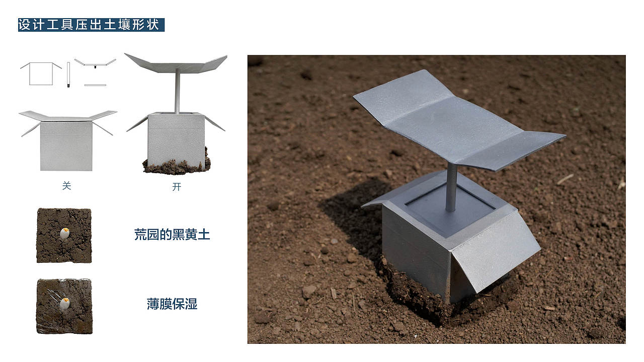 #2022青春答卷#最后156颗原种（图ZMzA1NDA4Mjg0） - 其他 - 站酷设计师央美设计学院原创素材 - 站酷ZCOOL