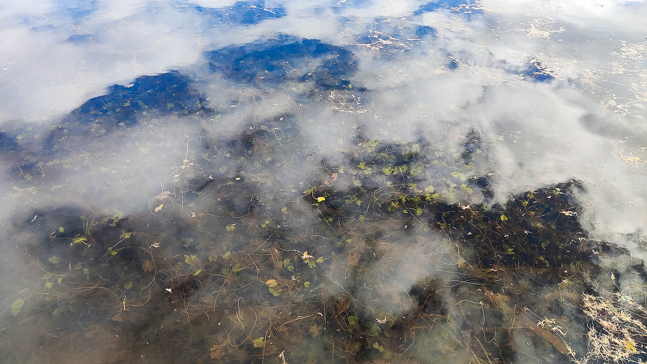 阿星和77仔 去内蒙吧!(风光篇-1)