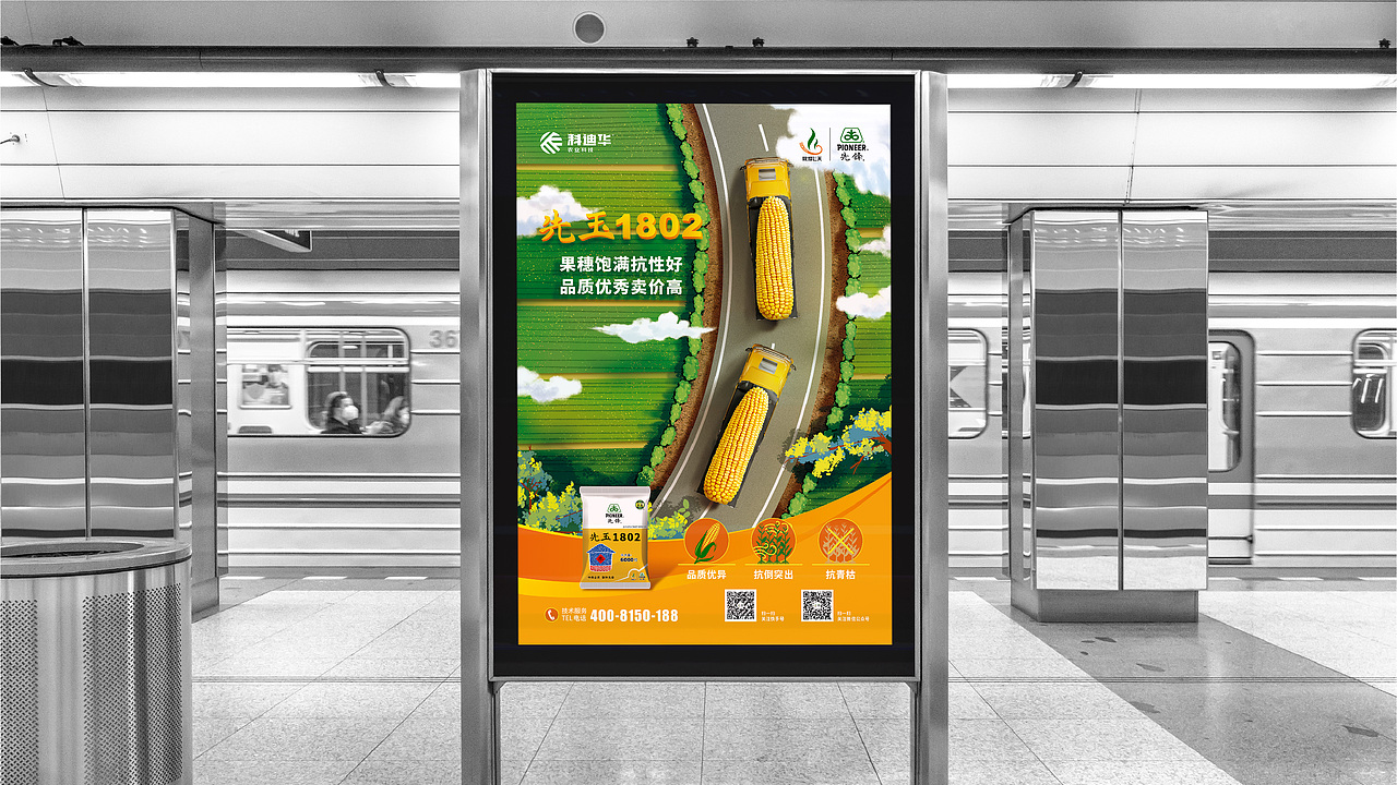 农业\玉米种业\先锋品牌\产品海报设计项目（图ZMzE3MTI2NDAw） - 海报 - 站酷设计师红微原创素材 - 站酷ZCOOL