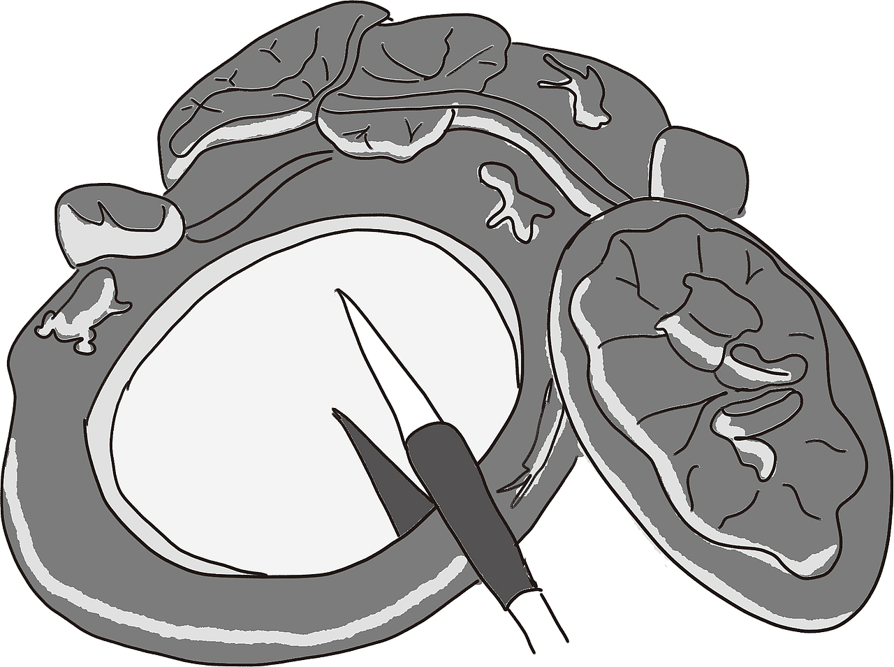 小学德育教材双色插画1（图ZMzM5MjQ5NDg0） - 儿童插画 - 站酷设计师ZPOOG原创素材 - 站酷ZCOOL