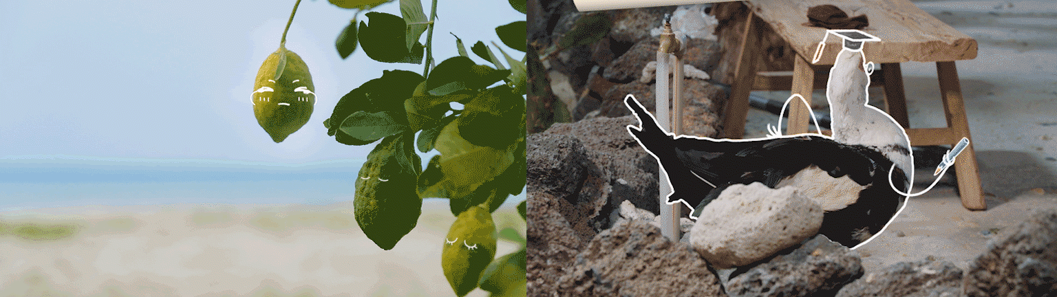 《向往的生活》第六季——大海篇