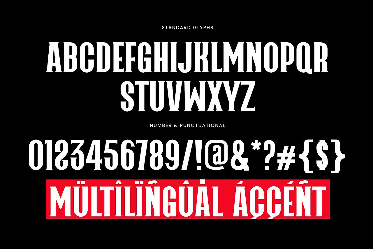 美式时尚粗体字电影海报杂志画册封面标题衬线英文字体