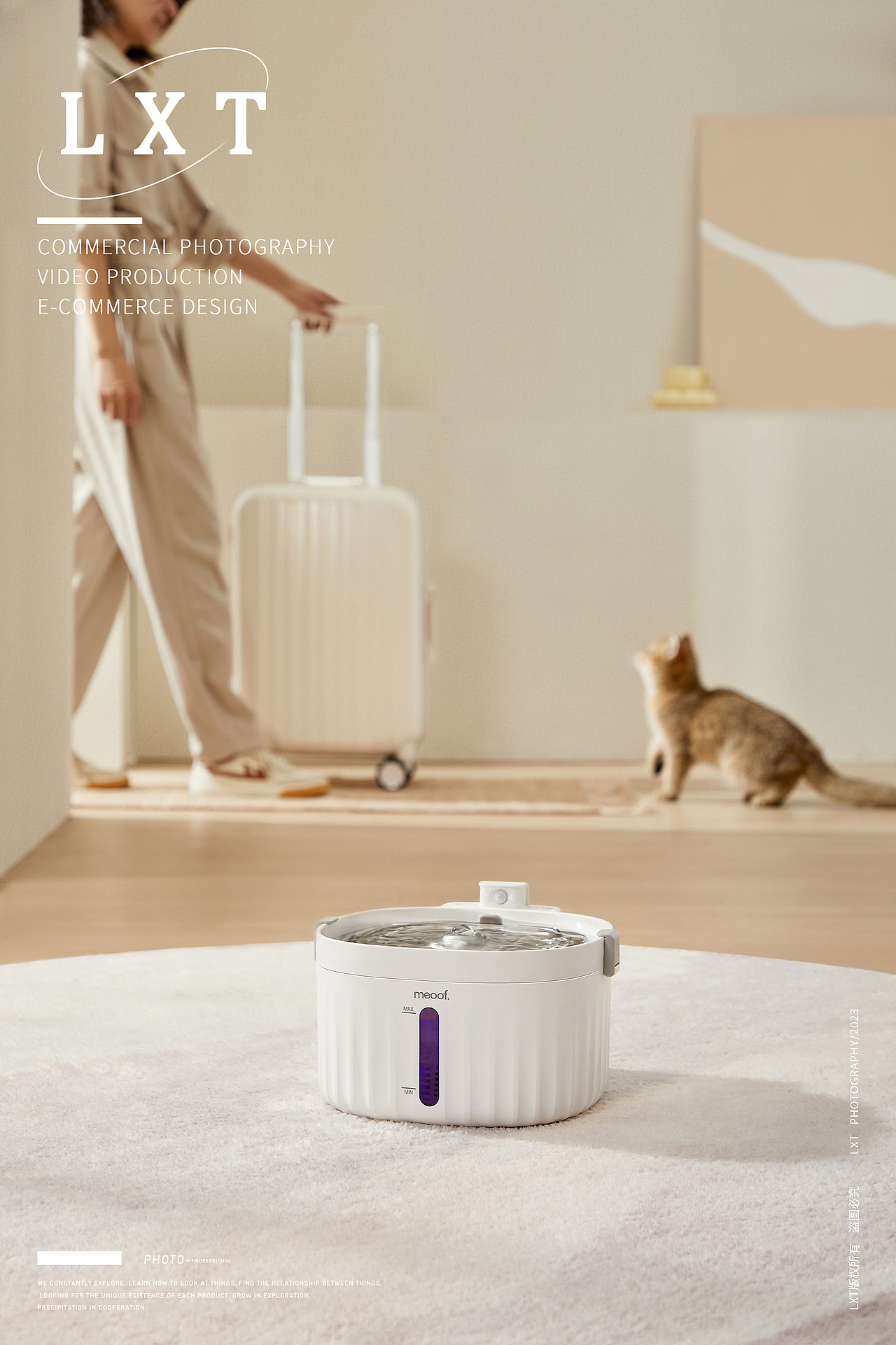 觅凹猫咪饮水机拍摄