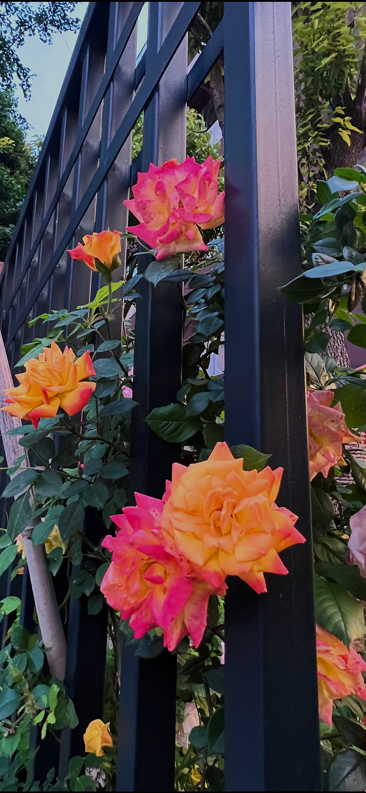 五一小长假——虽然只有一天（图ZMzM5NTc0MjYw） - 风光摄影 - 站酷设计师小狮子呀嘿原创素材 - 站酷ZCOOL