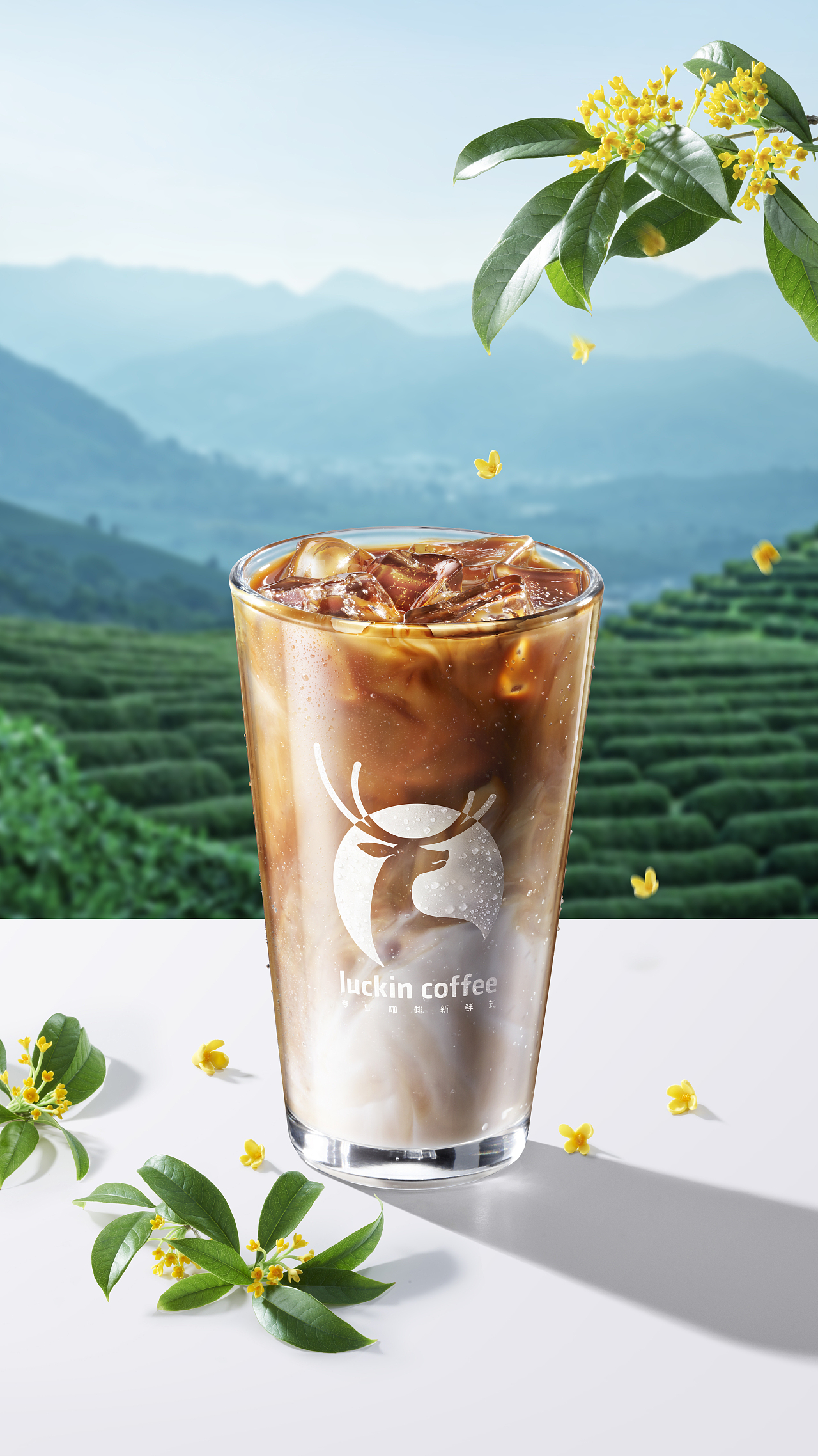 瑰花系列（图ZMzEzOTYyODky） - 美食摄影 - 站酷设计师Anne1234567原创素材 - 站酷ZCOOL