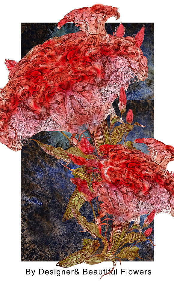 花卉插画与包装