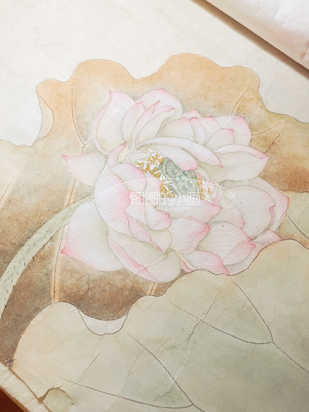 夏 | 工笔荷花《暗香浮动》（图ZMzQyODUzMDQ4） - 绘画 - 站酷设计师太傅小白DLin原创素材 - 站酷ZCOOL