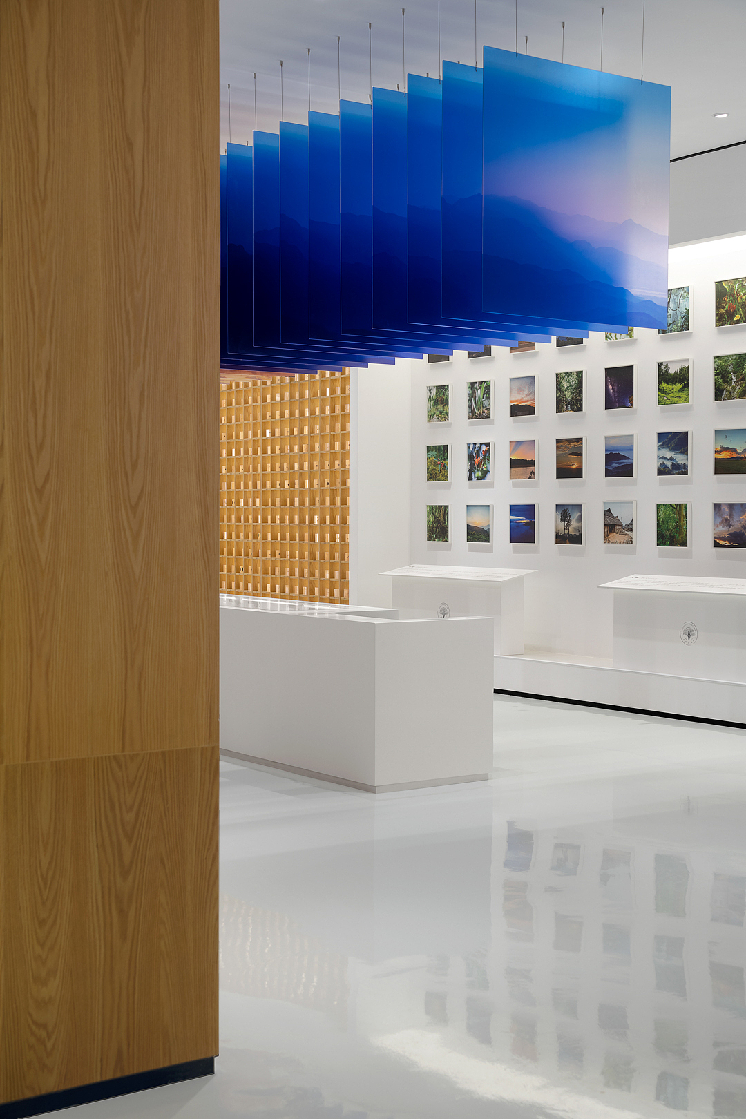 雨林古树茶展厅（图ZMzU3OTI0NDA4） - 环境/建筑摄影 - 站酷设计师摄影师康超凡原创素材 - 站酷ZCOOL