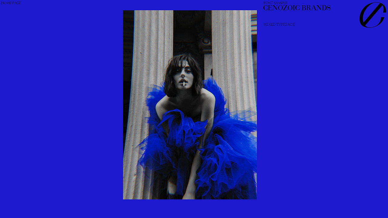 Cenozoic Brands Typography（图ZMzI5OTI5NTI0） - 品牌 - 站酷设计师YujianHuang原创素材 - 站酷ZCOOL