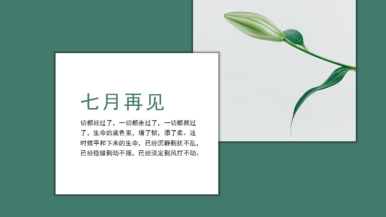 时尚绿色清新风你好八月杂志风宣传画册PPT模板