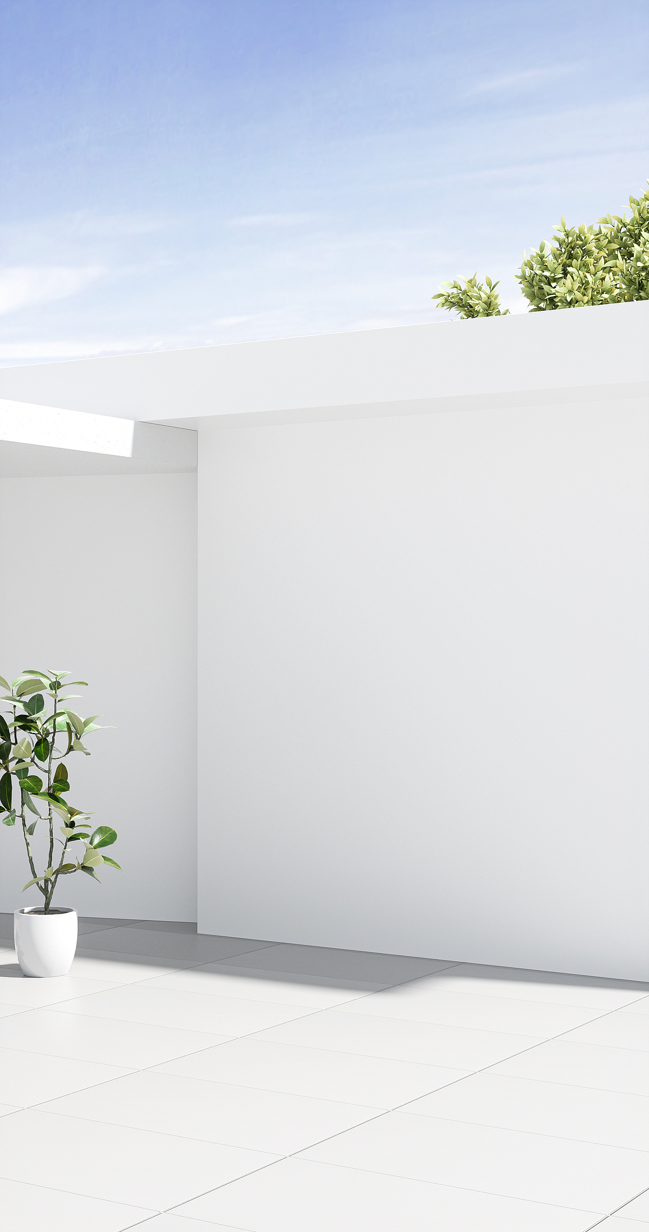 一些靓靓的首屏定板渲染图