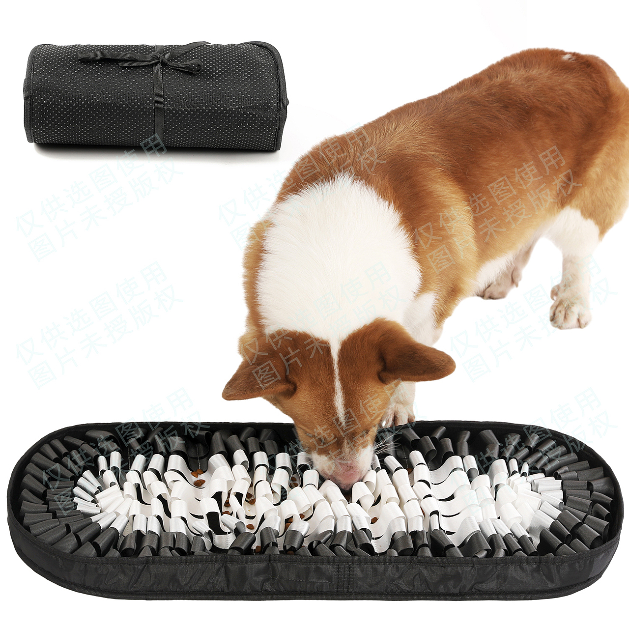 主图设计产品视频制作宠物亚马逊静物拍摄宠物用品拍照（图ZMzQ2MTM5MjAw） - 电商 - 站酷设计师零晨视觉摄影原创素材 - 站酷ZCOOL