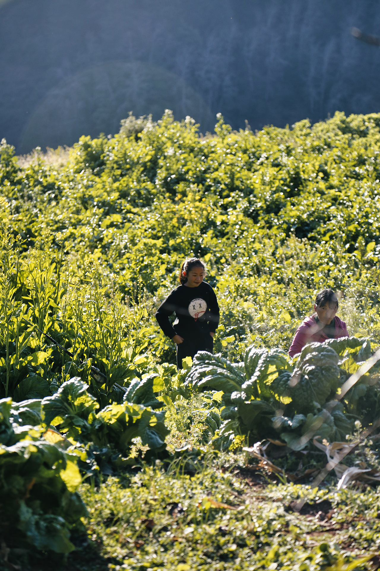 2017年春节回家村子里面（图ZMzU2OTc0MTgw） - 人文/纪实摄影 - 站酷设计师焦虑到掉头发原创素材 - 站酷ZCOOL