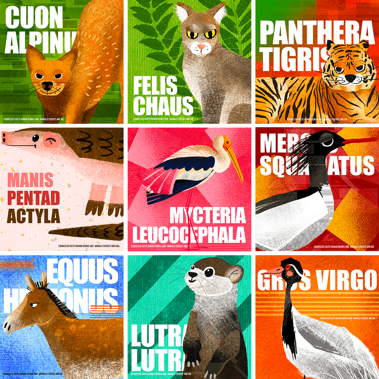 珍稀动物 | 你瞅瞅~这美好的花花世界