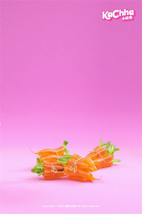 IP角色设计 I 卡恰兔Kachha！（图ZMzM0MjkyOTgw） - 人物/生物 - 站酷设计师翡翠大白菜原创素材 - 站酷ZCOOL