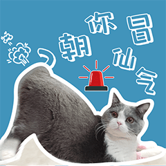 叮当的单身生活（图ZMzEyODE1MTUy） - 网络表情 - 站酷设计师runningPP原创素材 - 站酷ZCOOL