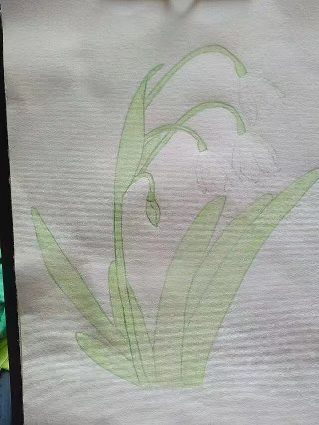 花卉彩铅过程图（图ZMjk4MDEyNjI0） - 其他 - 站酷设计师冲刺的蜗牛原创素材 - 站酷ZCOOL