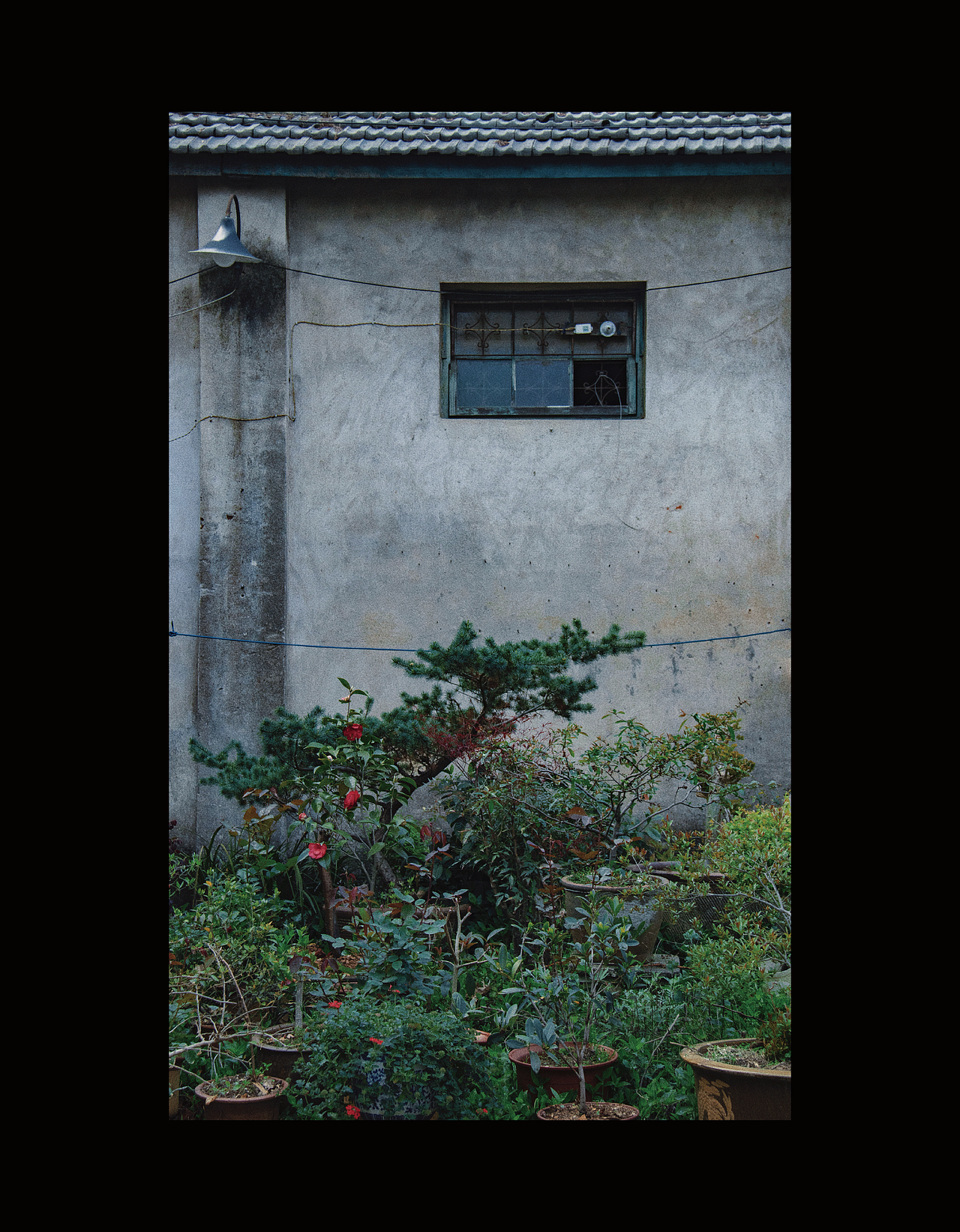 4月4日 在山中（图ZMjk2MzUwNDAw） - 人文/纪实摄影 - 站酷设计师丁技安原创素材 - 站酷ZCOOL