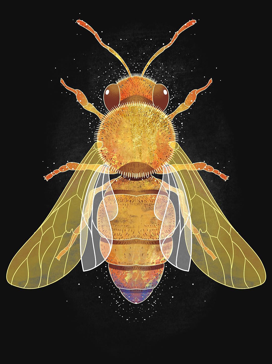 MEspace课后的一些练习