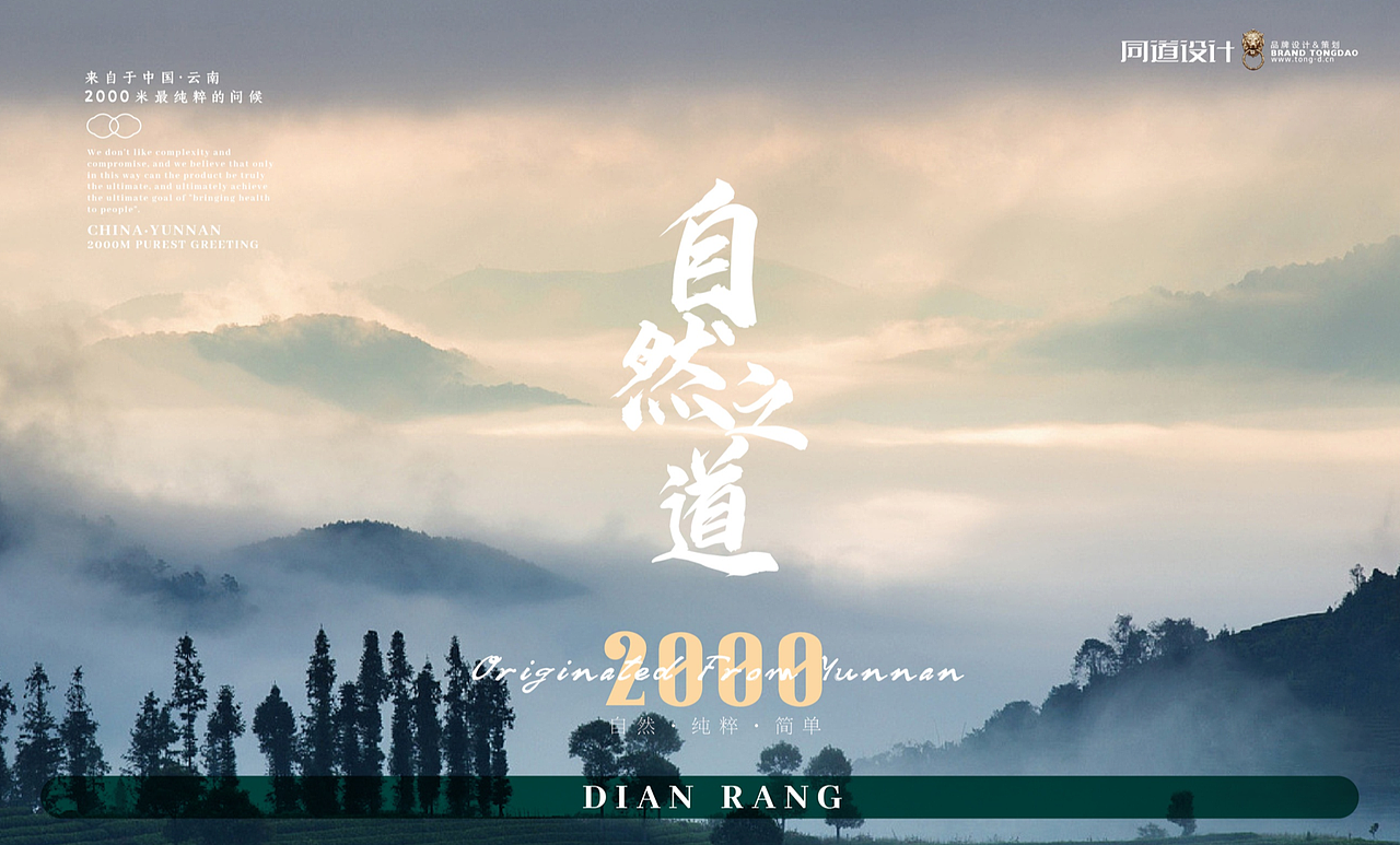 山葵泥包装设计 | LOGO/VI设计 | 食品包装设计