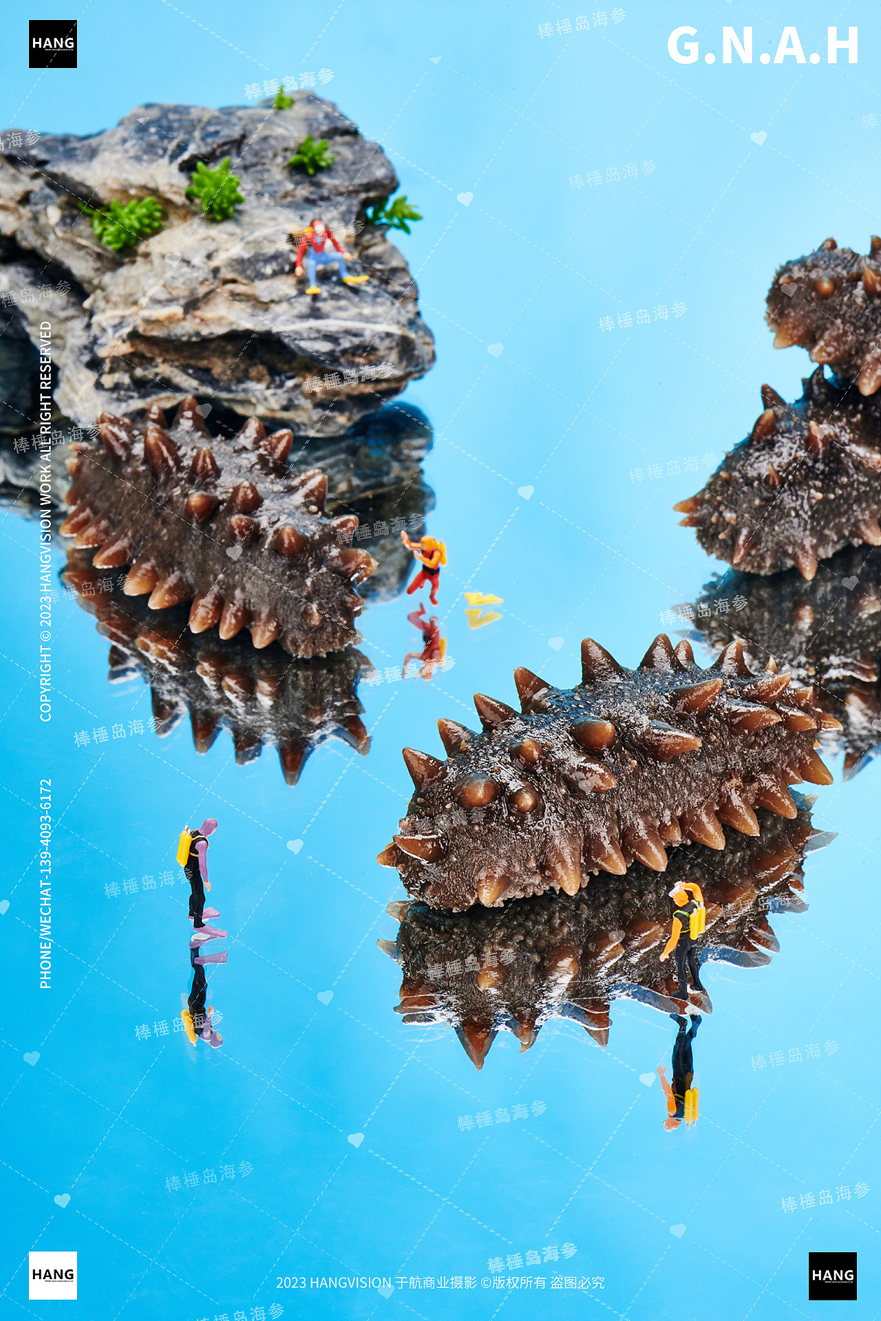 大连海参拍摄干海参即食海参棒棰岛野生海参海鲜拍摄