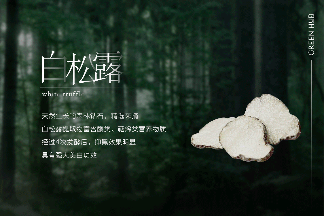 分子马达-森林奇旅微信公众号推送