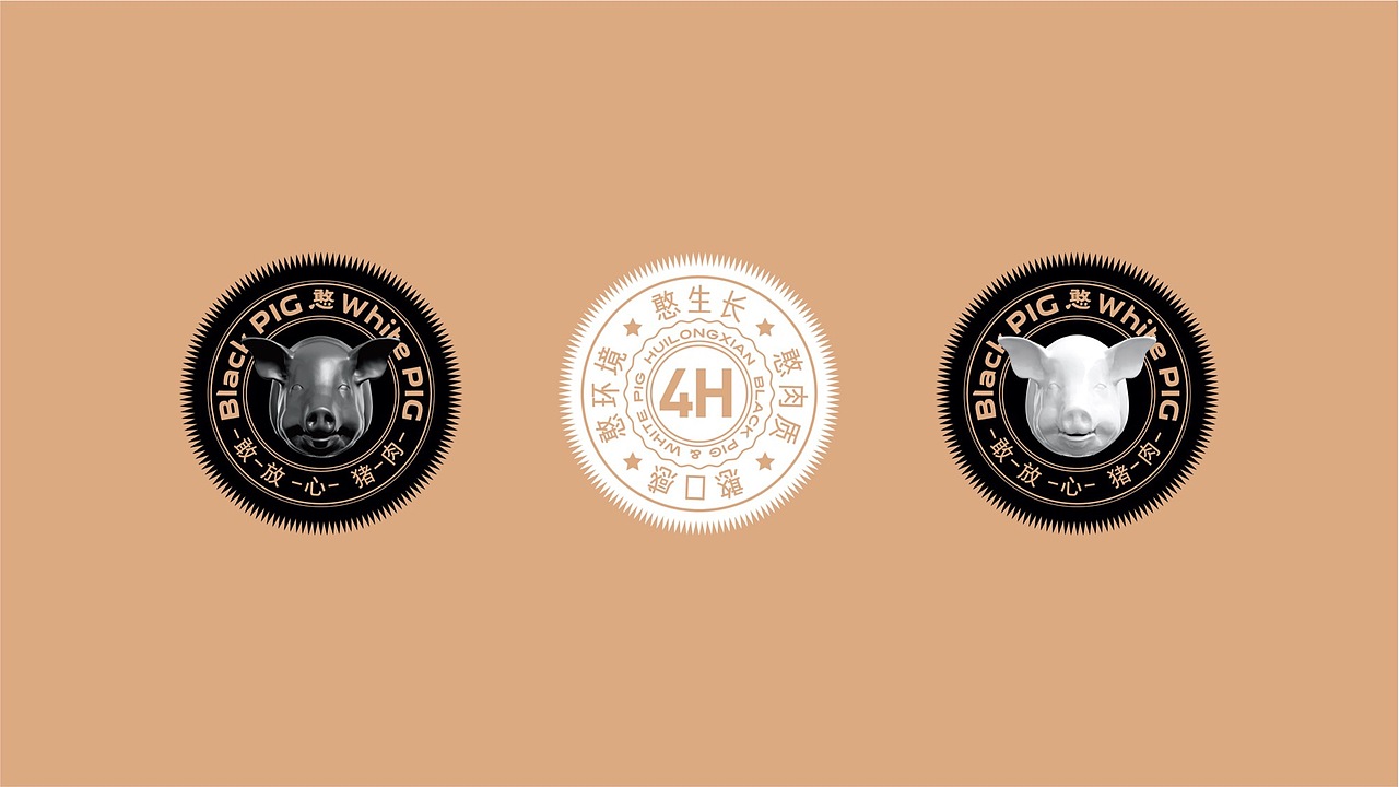 汇龙鲜 品牌包装整体升级（图ZMzAwOTEyNTgw） - 品牌 - 站酷设计师广州维思计设原创素材 - 站酷ZCOOL