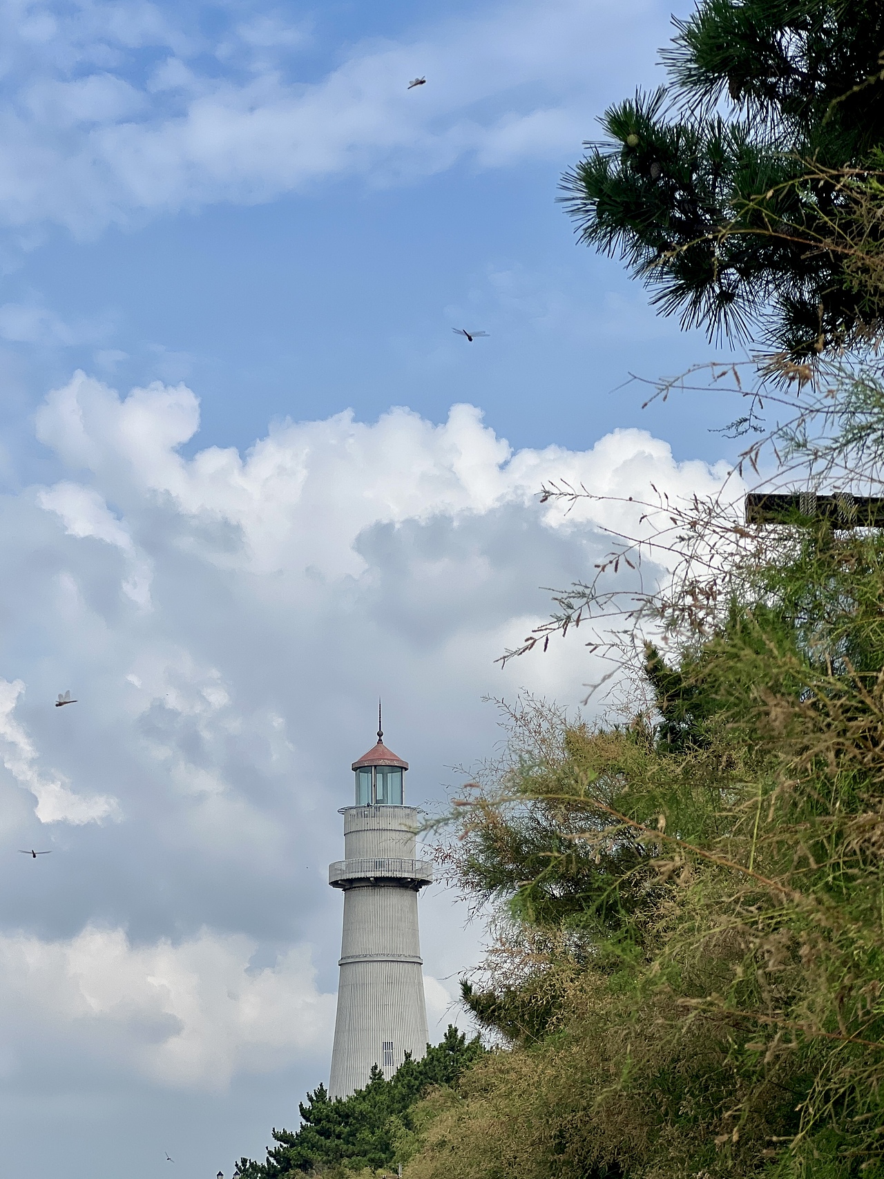 天高云輕（圖ZMzE0MTIwMTc2） - 風(fēng)光攝影 - 站酷設(shè)計(jì)師嚴(yán)包包原創(chuàng)素材 - 站酷ZCOOL