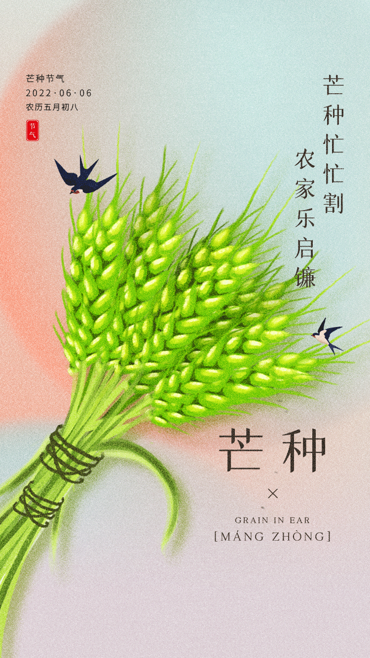 创意极简弥散风水稻H5芒种节气海报启动页（图ZMzAwOTc2OTgw） - 海报 - 站酷设计师cxizx原创素材 - 站酷ZCOOL
