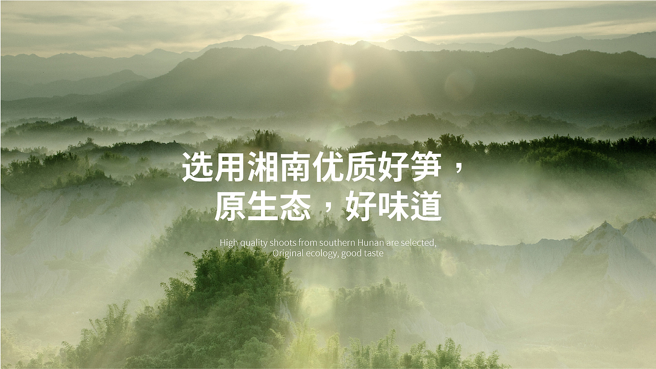 笋业-品牌设计（图ZMzQ1MDE2MjI0） - 品牌 - 站酷设计师西瓜田里养过鱼原创素材 - 站酷ZCOOL