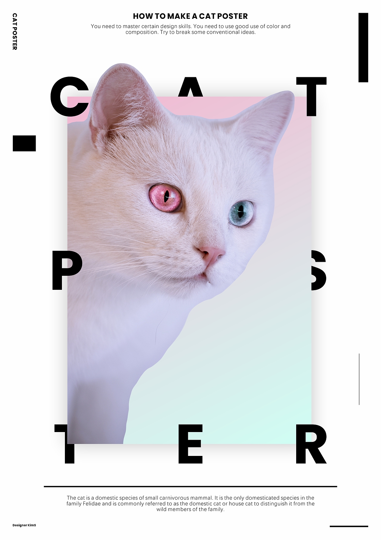 猫猫排版练习