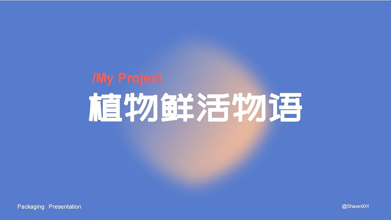 2023视觉传达个人作品集