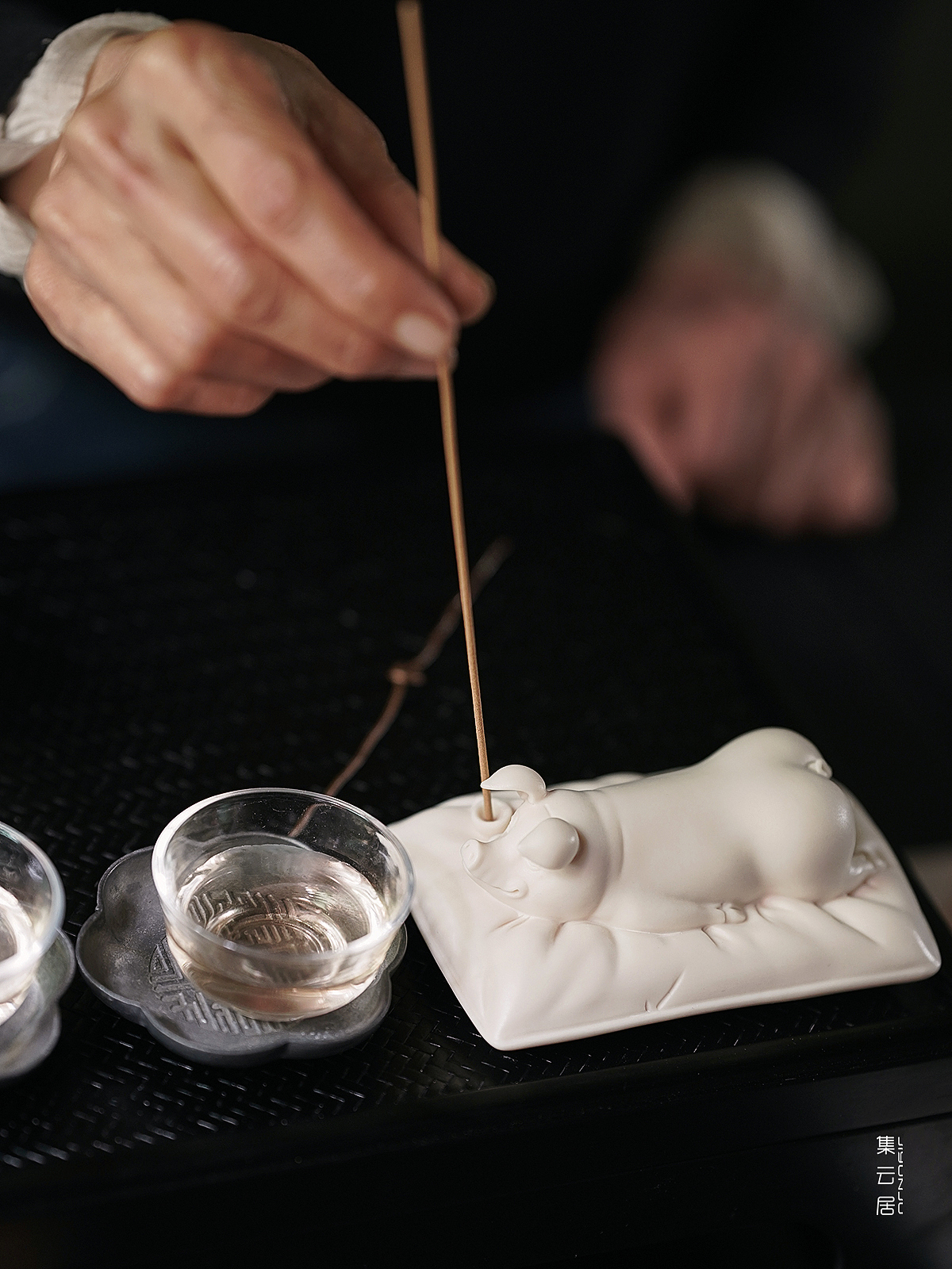 中国白·猪猪请趴好