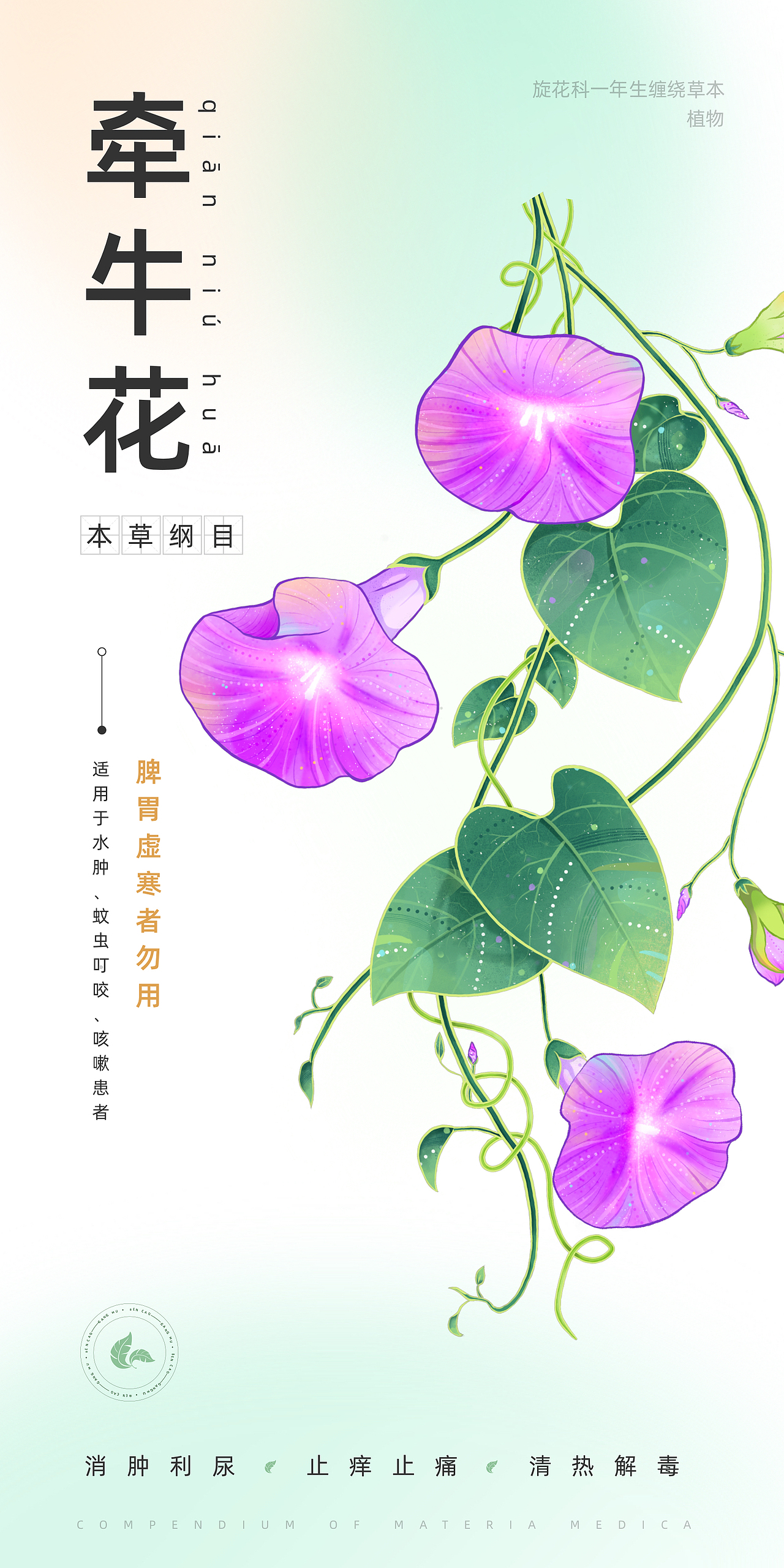 中药仙草集·壹（图ZMzY2OTQ5NjM2） - 创作习作 - 站酷设计师苒色时光原创素材 - 站酷ZCOOL