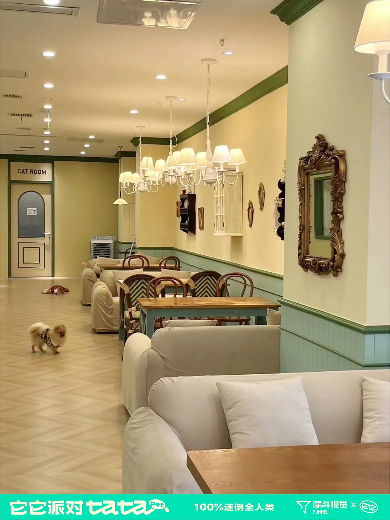 品牌视觉 | 猫咖狗咖 | 它它派对（图ZMzY2ODc5NTcy） - 品牌 - 站酷设计师漏斗视觉原创素材 - 站酷ZCOOL