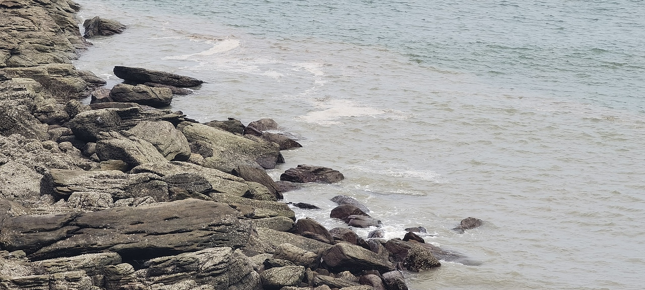 日 与月 与云 与草 与林 与山海 还有花