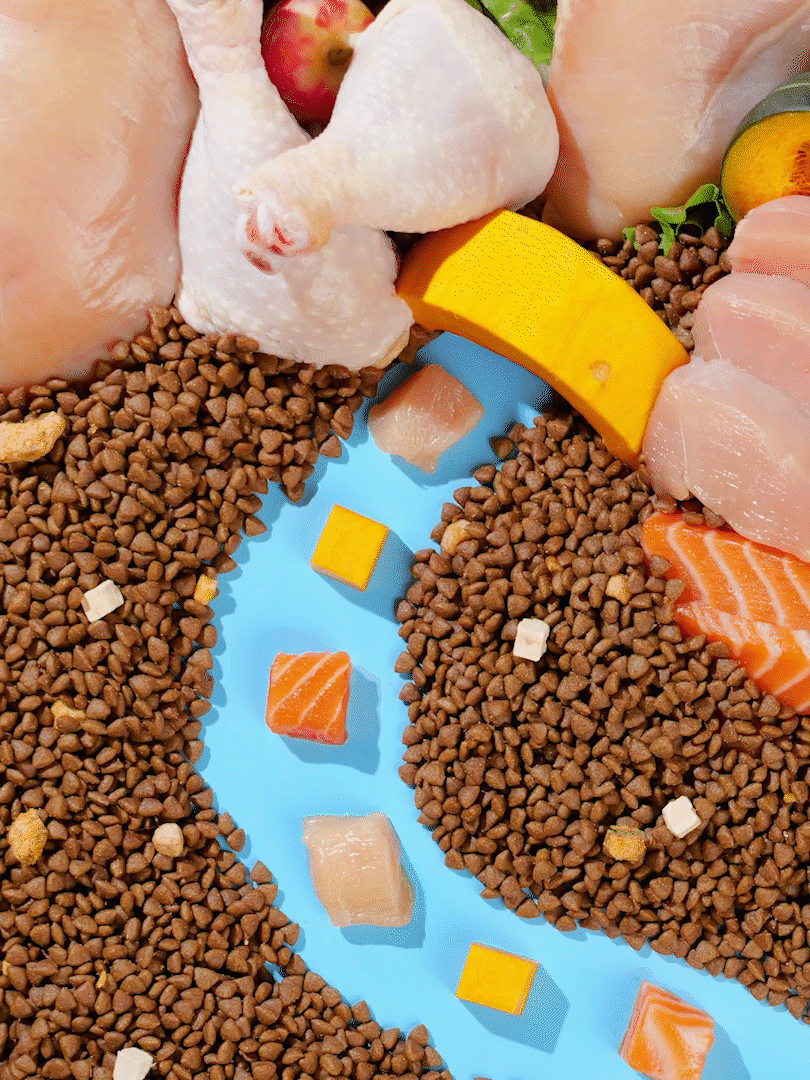 冻干多拼全价猫粮宠物食品中宠HAPPY100电商竖版短视频