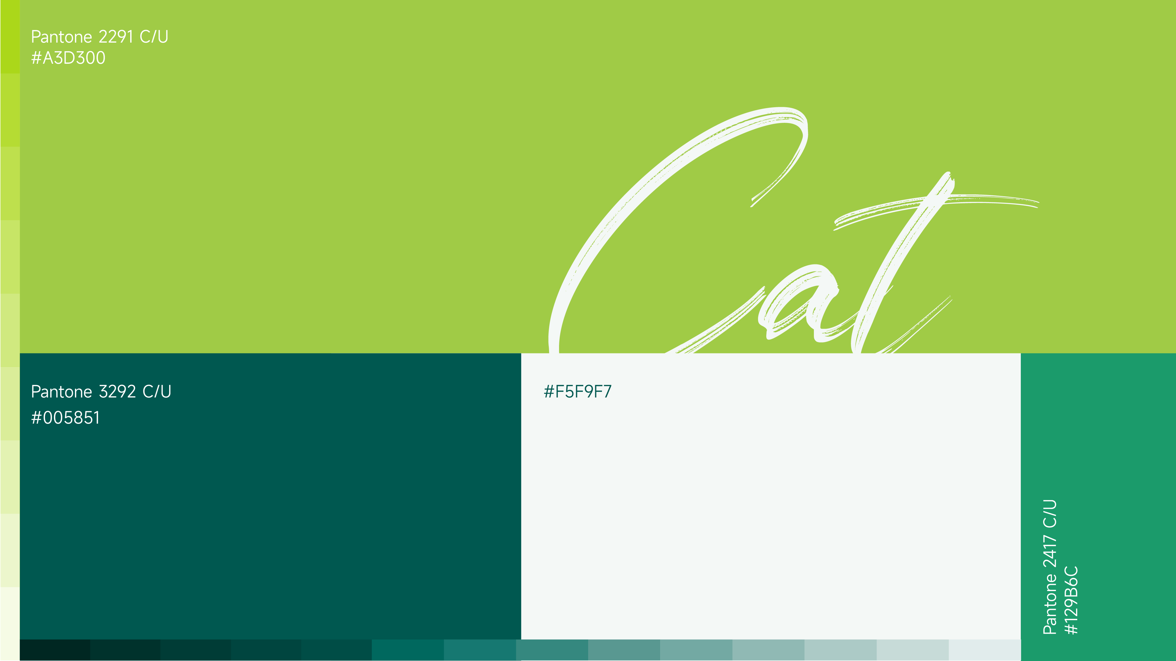 宠物品牌全案设计/标志升级/系列包装设计