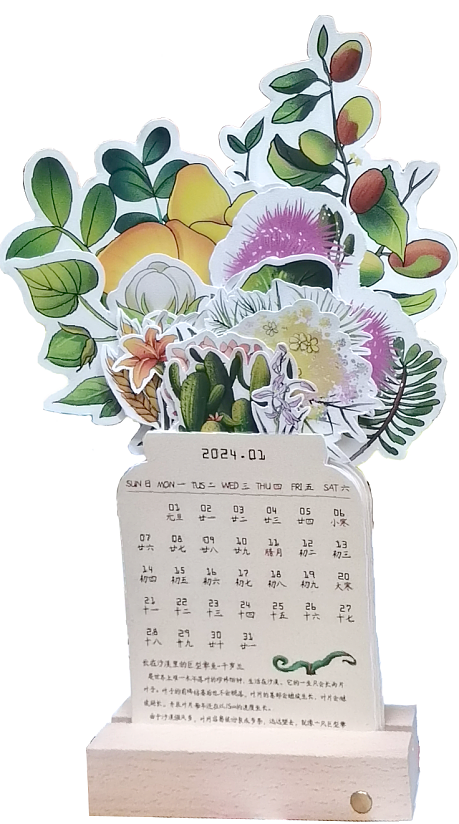 毕业设计-儿童植物科普立体绘本套装