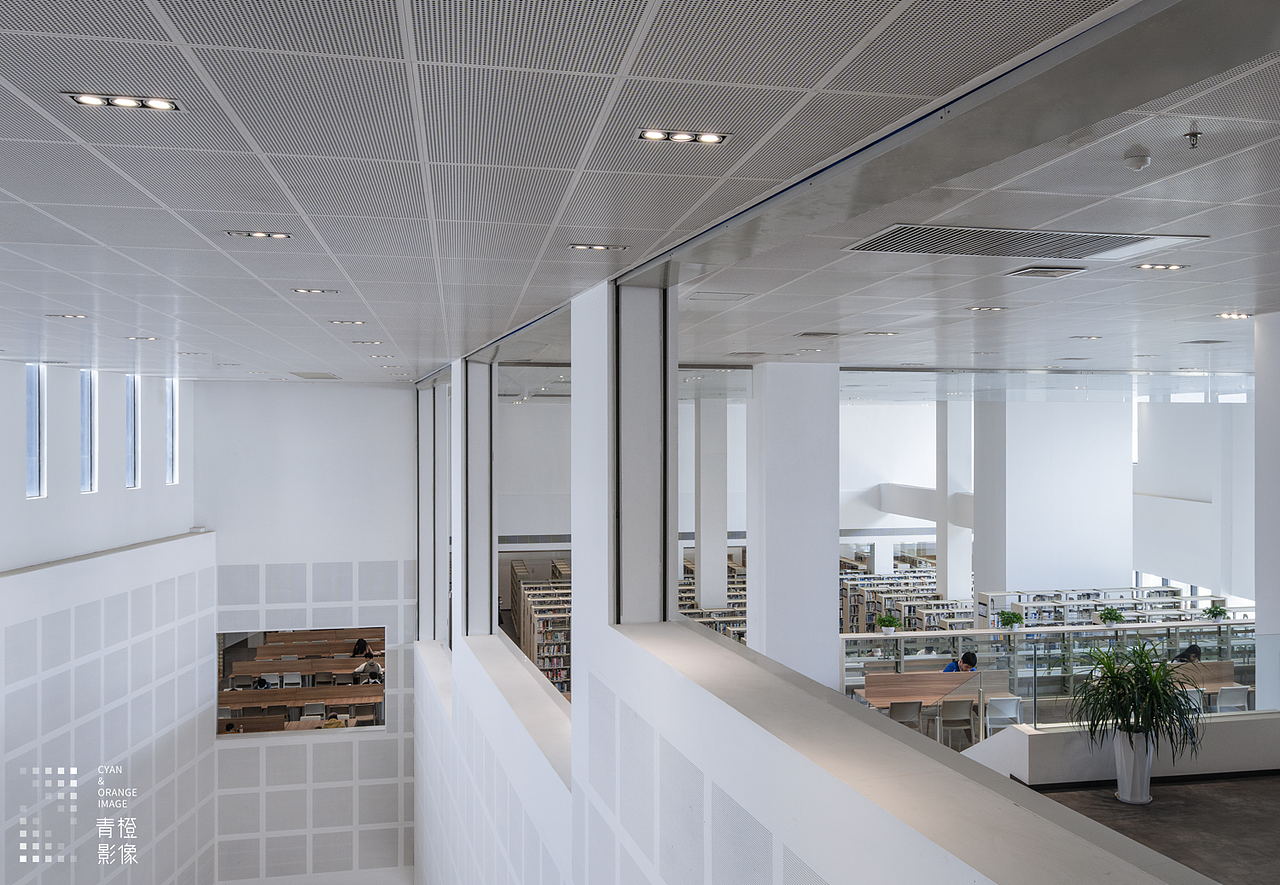 金湾图书馆 | 青橙影像