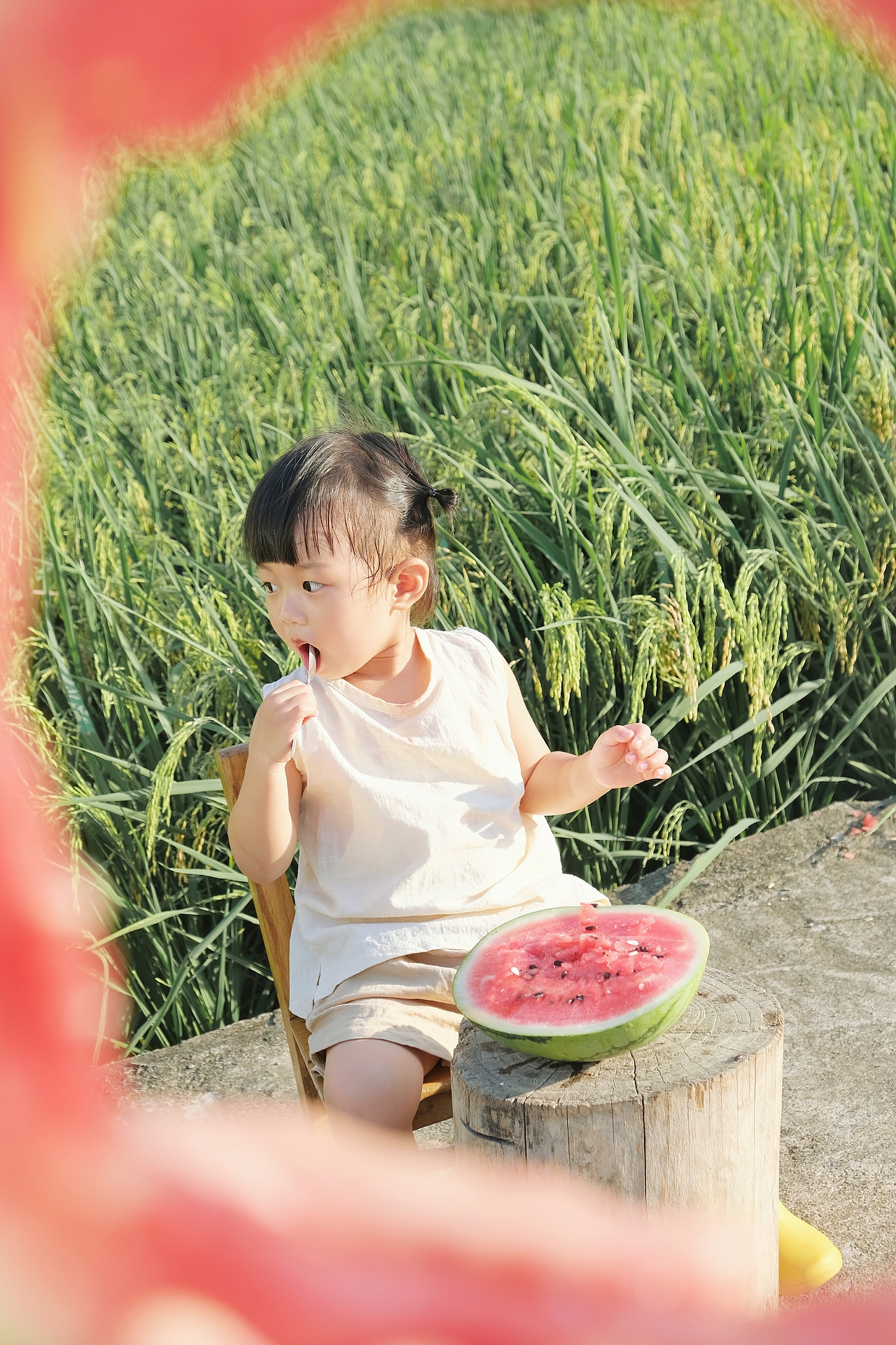 稻田加西瓜，这是你记忆里的夏天吗（图ZMzY3MzgyODg0） - 人像摄影 - 站酷设计师陳丫丫原创素材 - 站酷ZCOOL