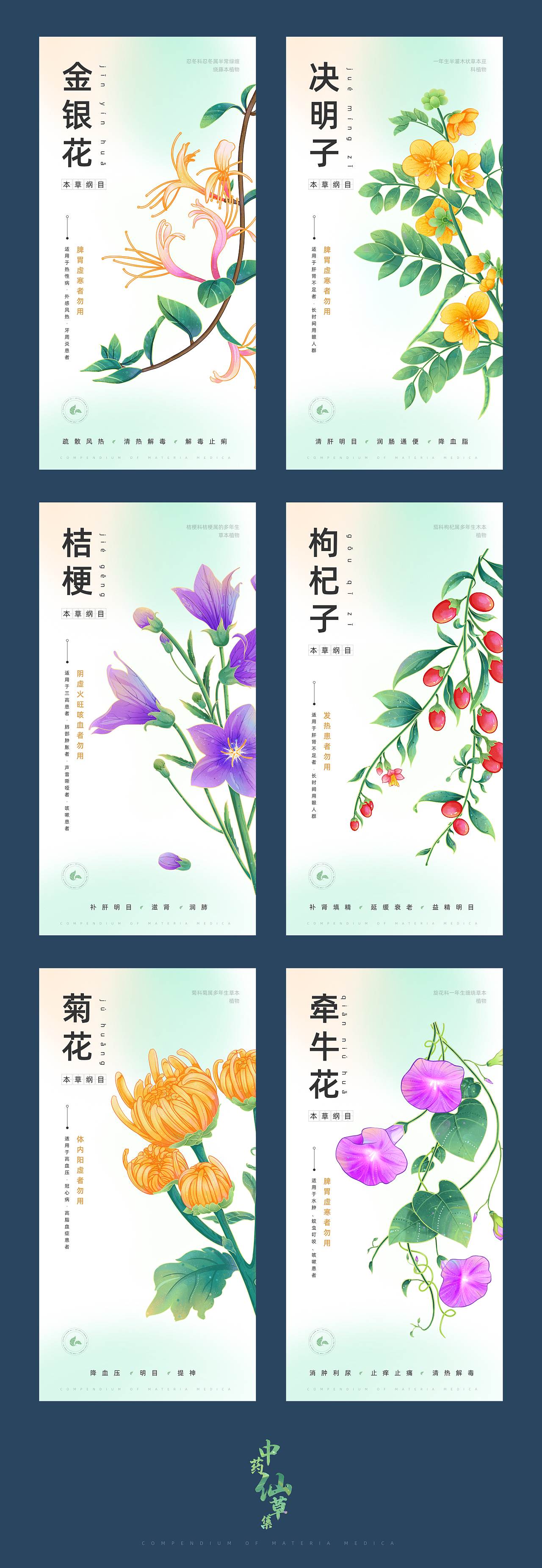 中药仙草集·壹（图ZMzY2OTQ4ODU2） - 创作习作 - 站酷设计师苒色时光原创素材 - 站酷ZCOOL