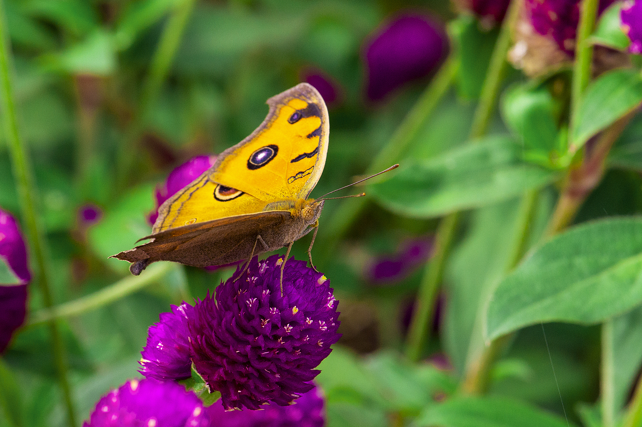 自然四季风光（图ZMzQ3NjEzMjY4） - 风光摄影 - 站酷设计师瀟殇原创素材 - 站酷ZCOOL