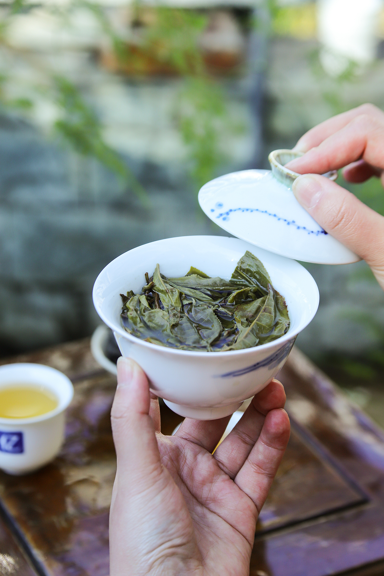 秋茶，普洱茶（圖ZMzI2MTE2NzUy） - 產(chǎn)品攝影 - 站酷設(shè)計師阿雪啦原創(chuàng)素材 - 站酷ZCOOL