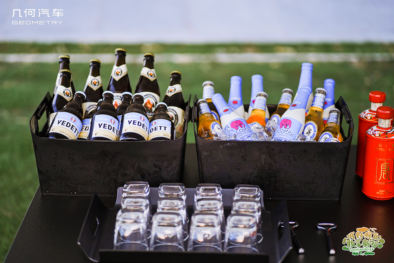 真智能 真安全 真续航 几何G6/M6南区双车上市